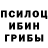 Псилоцибиновые грибы Magic Shrooms Onias Quezada