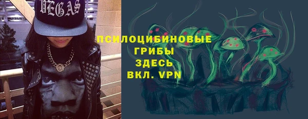 трава Новодвинск