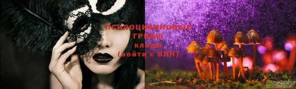 трава Новодвинск