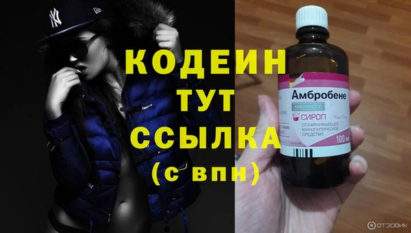 трава Новодвинск