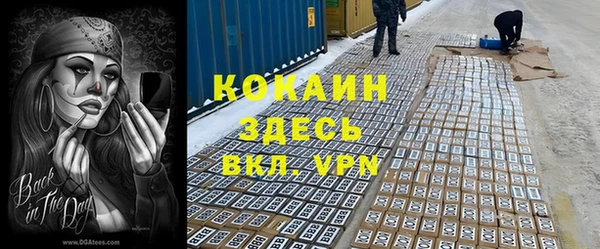 соль курить ск Новозыбков