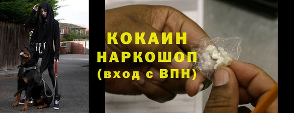 трава Новодвинск