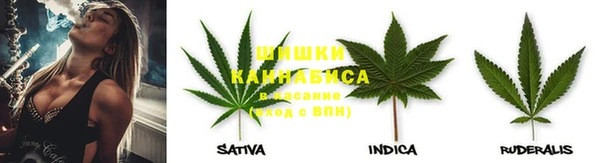 соль курить ск Новозыбков