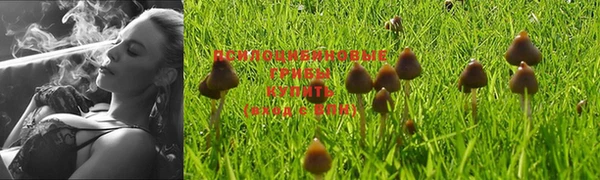 кокаин VHQ Новокубанск