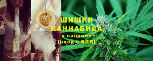 соль курить ск Новозыбков