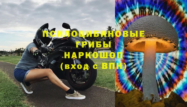 трава Новодвинск