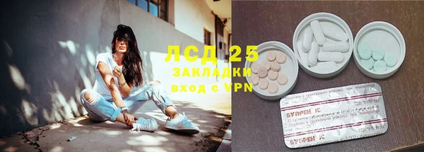 трава Новодвинск