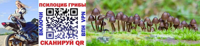 Галлюциногенные грибы Magic Shrooms Купить закладки Котельники